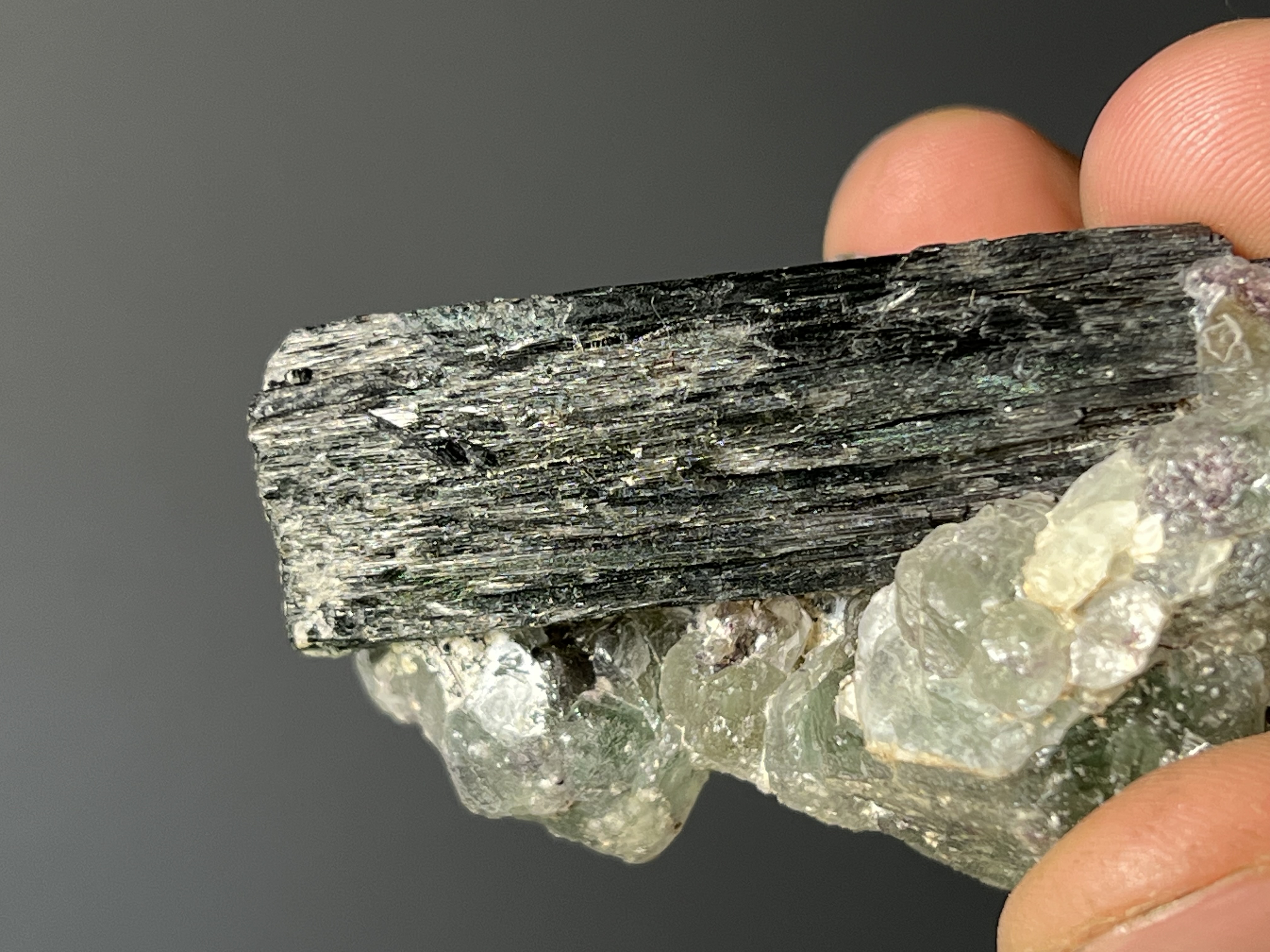 Fluorite On Tourmaline Schorl - Namibia