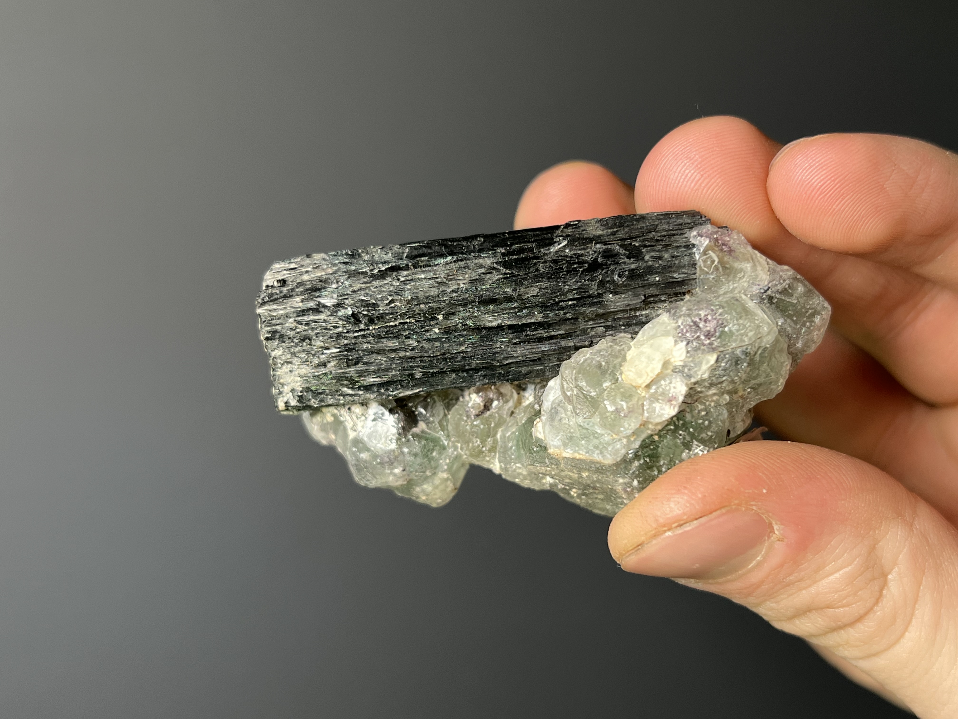 Fluorite On Tourmaline Schorl - Namibia