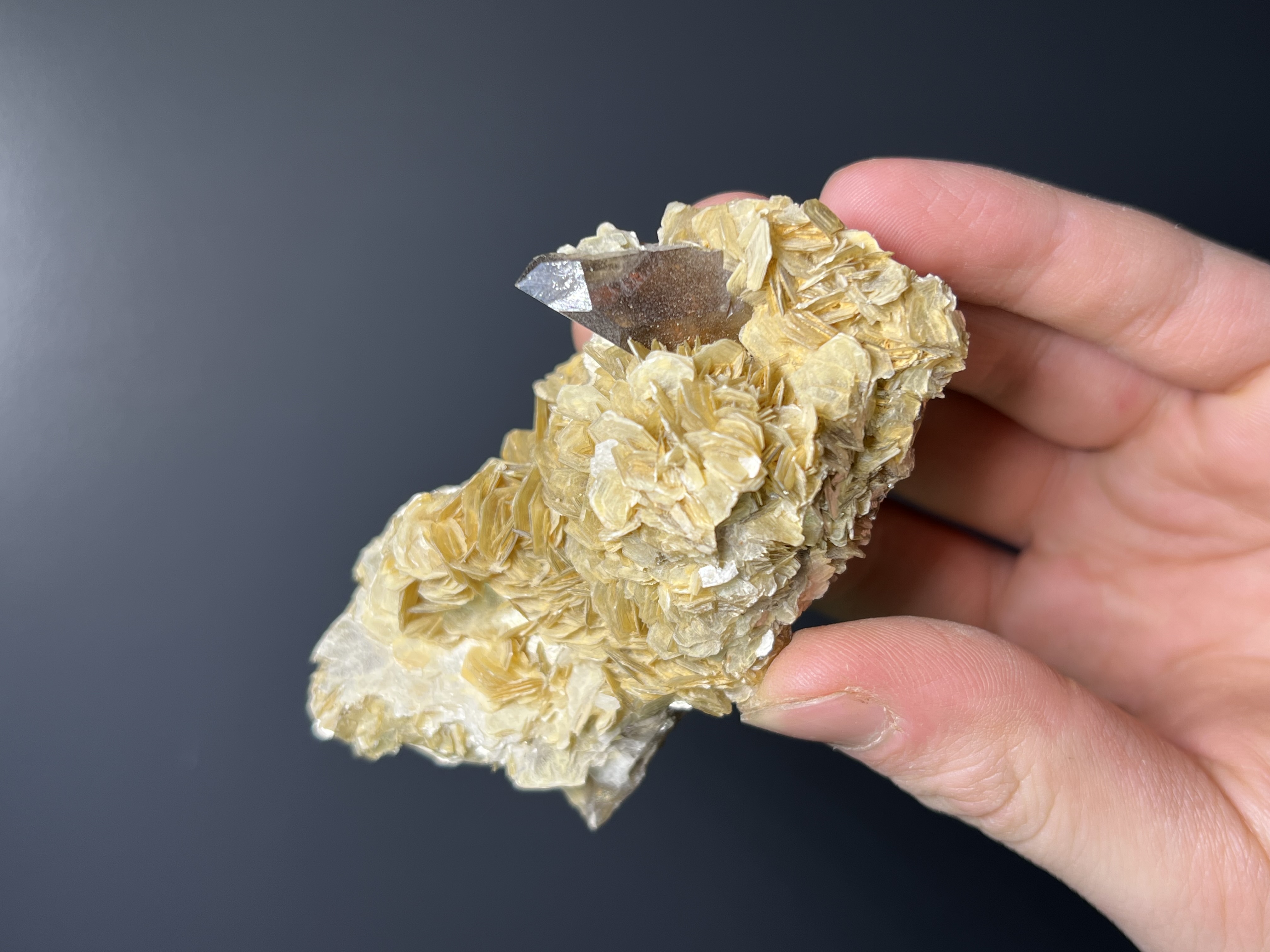 Muscovite With Smoky Quartz - Brazil