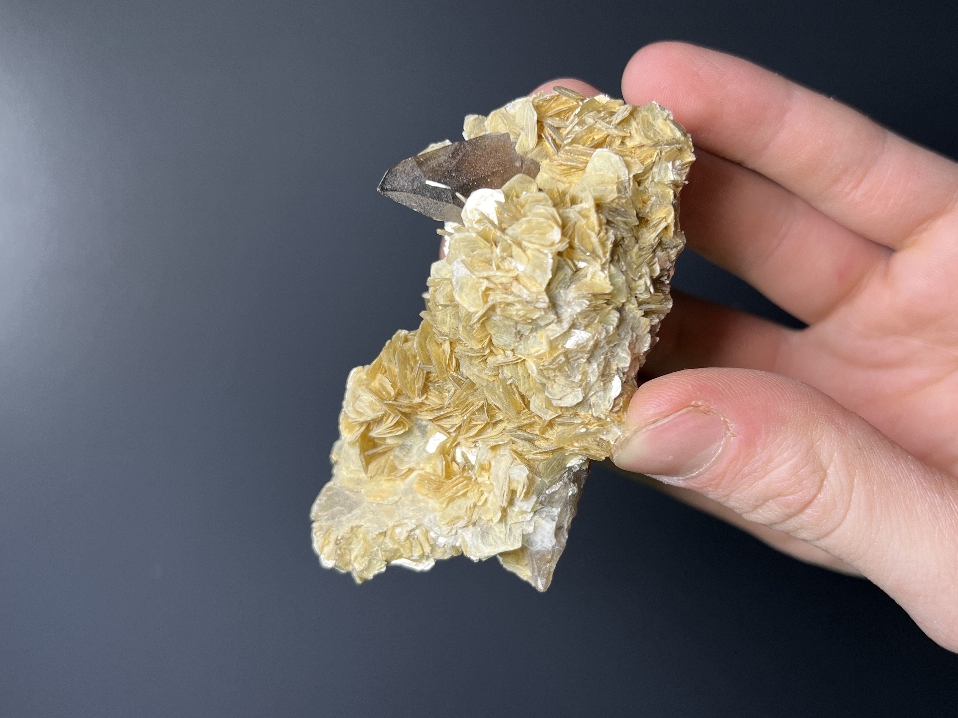 Muscovite With Smoky Quartz - Brazil