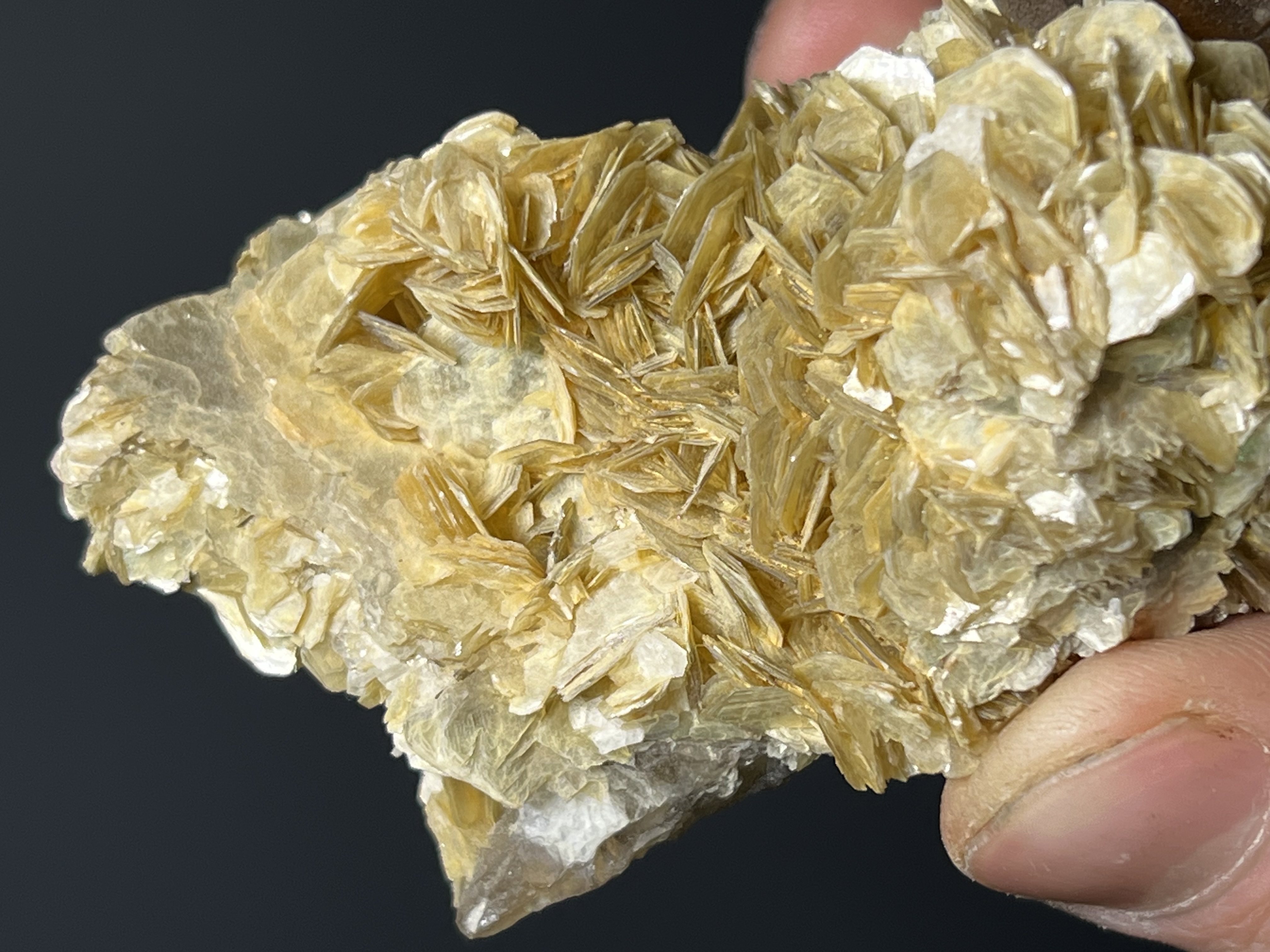 Muscovite With Smoky Quartz - Brazil