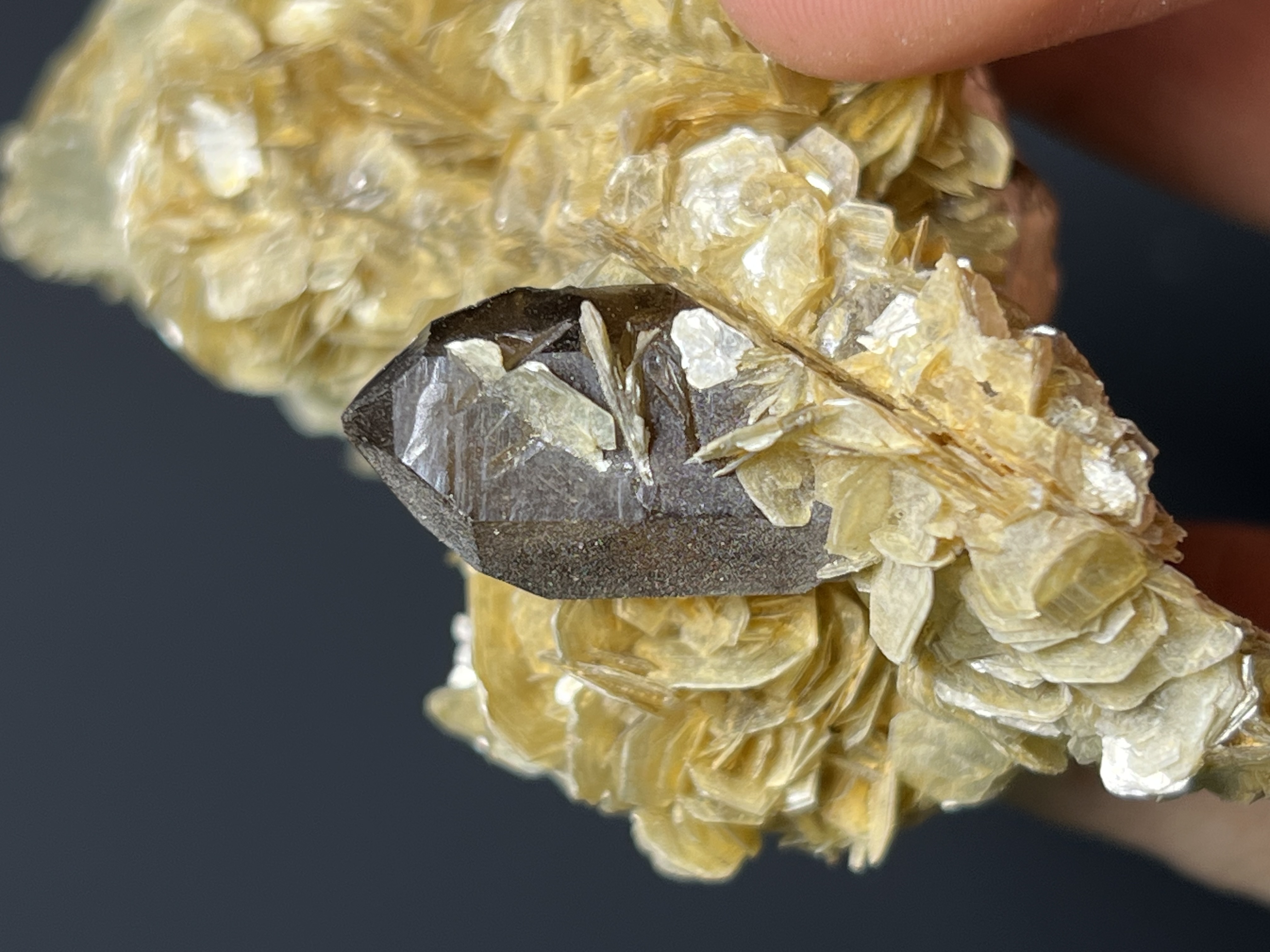 Muscovite With Smoky Quartz - Brazil