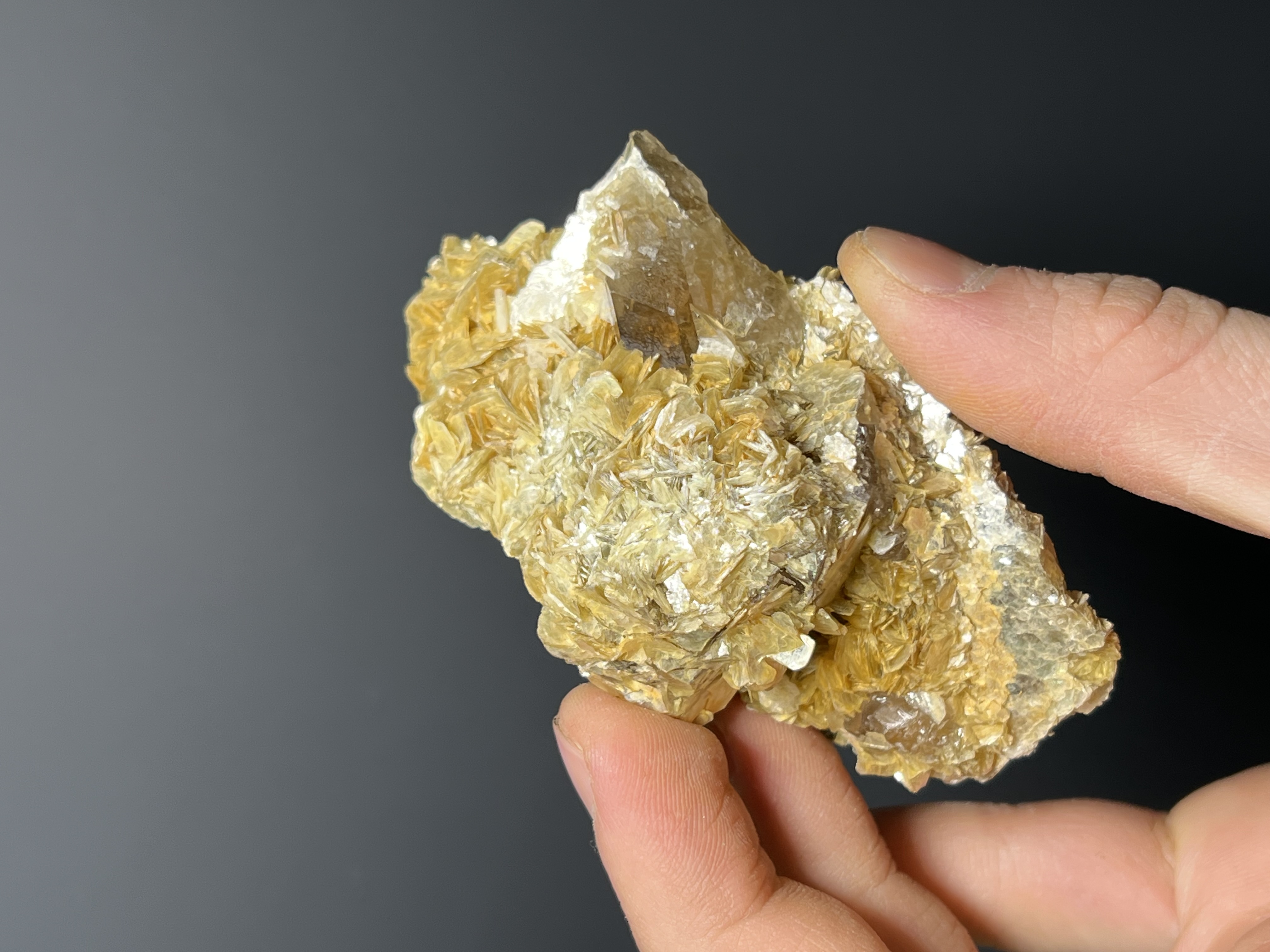 Muscovite With Smoky Quartz - Brazil