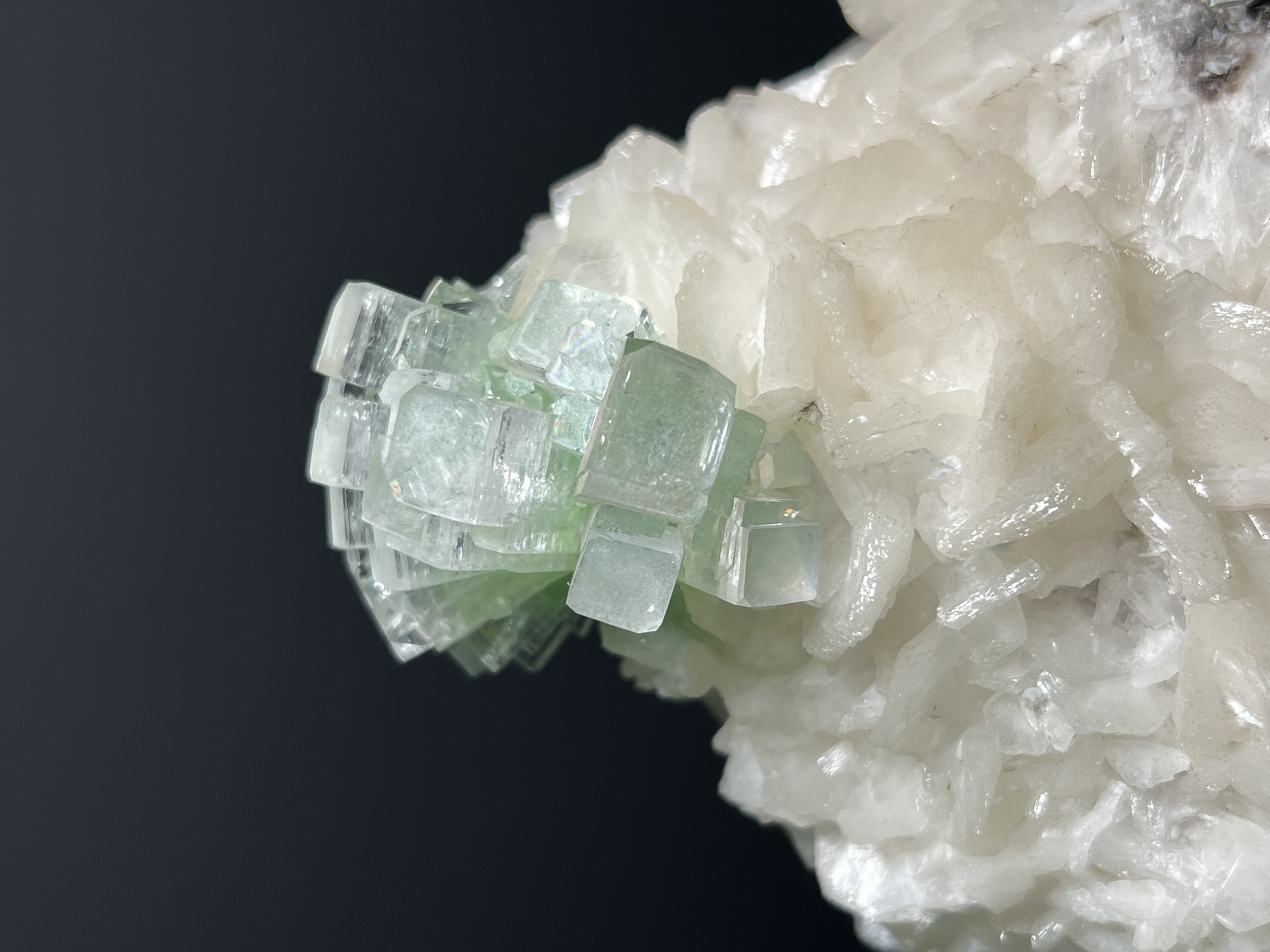 Museum Grade, Discoball Fluorapophyllite And Apophyllite With Stilbite - India