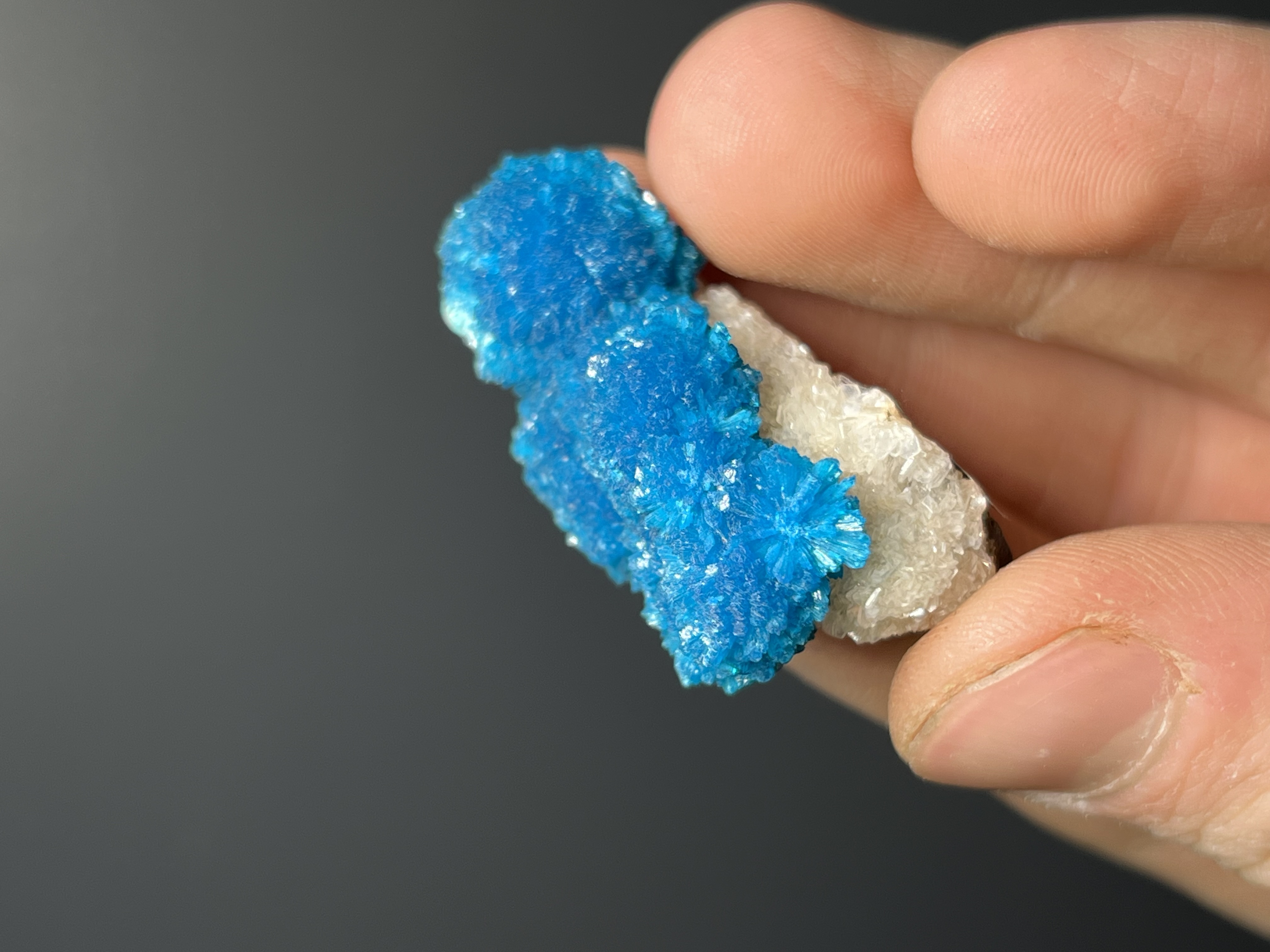 Museum Grade, Cavansite Specimen- India
