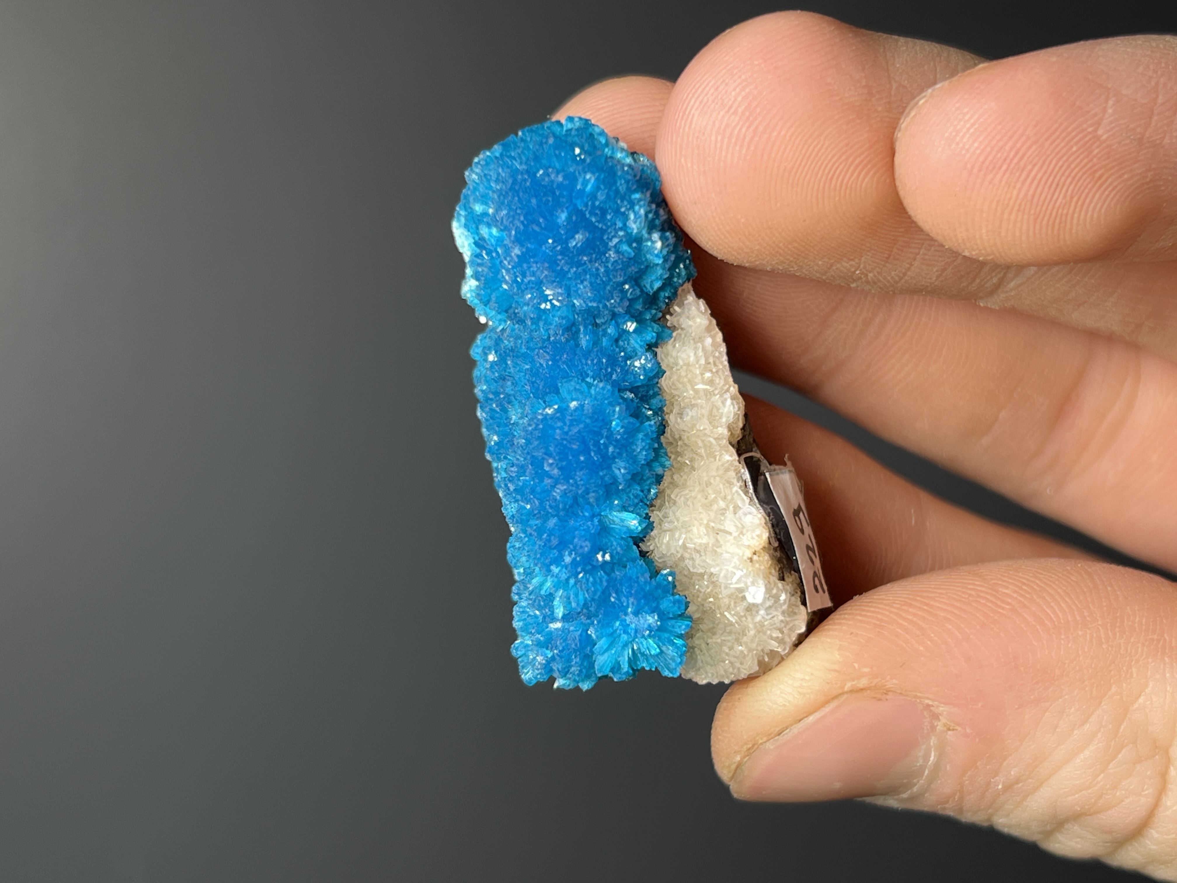 Museum Grade, Cavansite Specimen- India